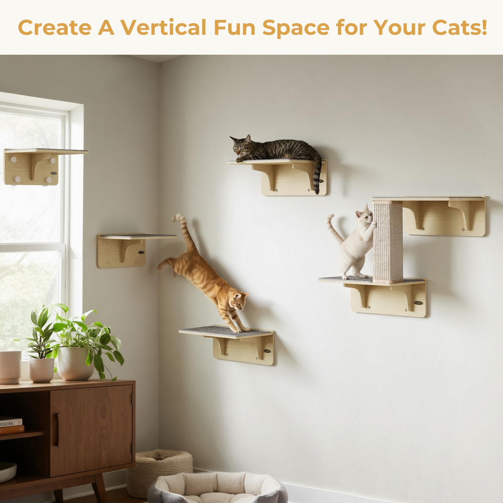 Pecute 16x10 window perch dimensions fit common window spaces.