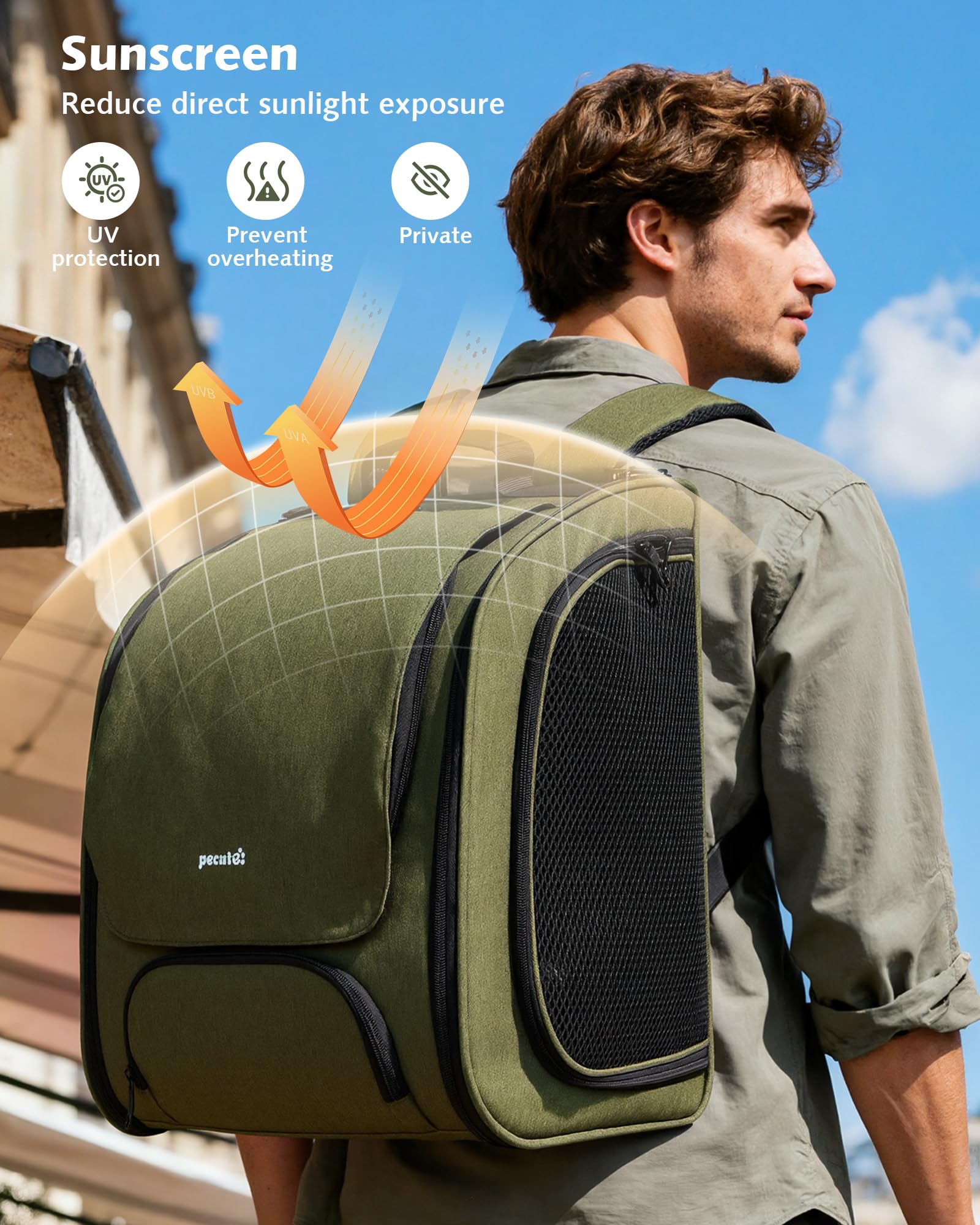 Pecute cat backpack back panel 3D design supports breathable, comfortable wear.
