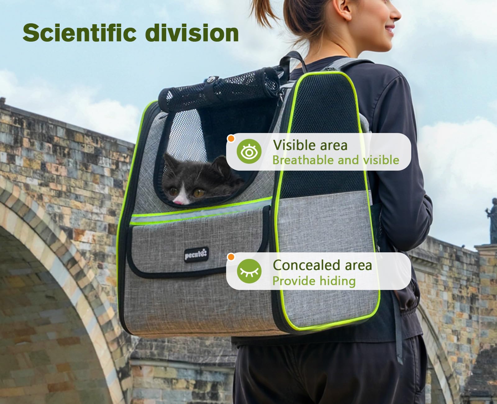 Pecute Cat Backpack back view shows padded support and ventilation for pet comfort.