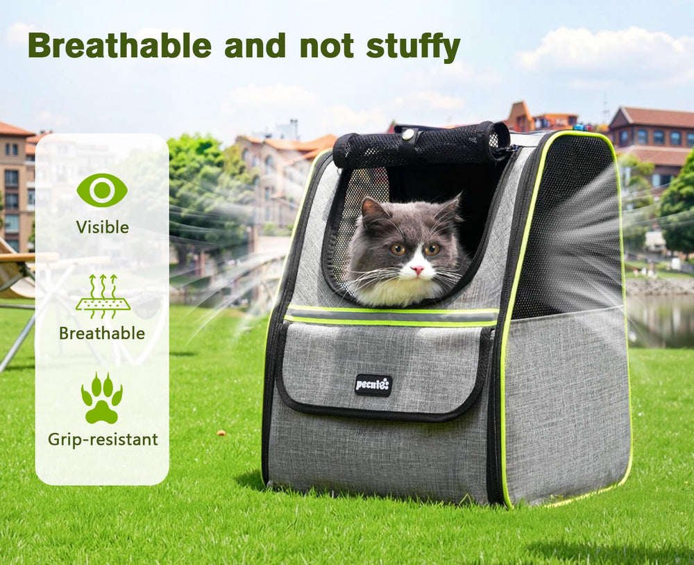 Pecute Cat Backpack dimensions illustrate roomy interior for small pets within weight limit.