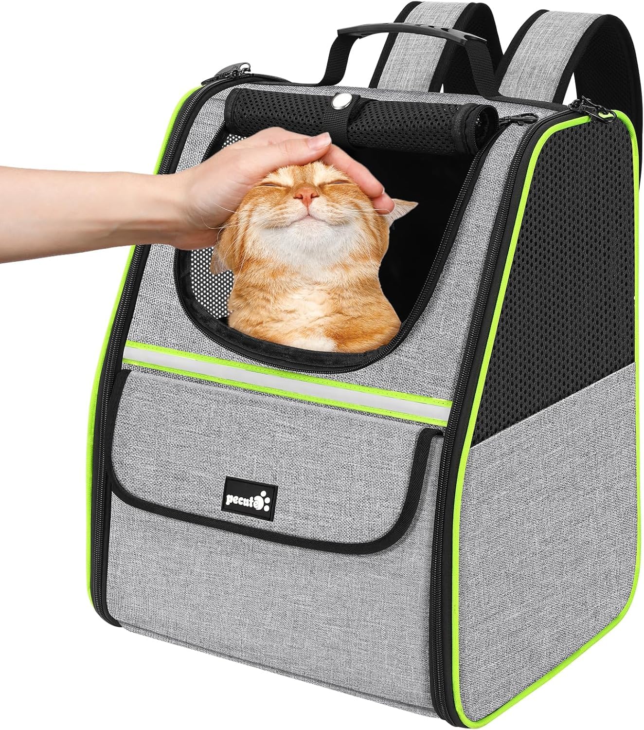 Pecute Cat Backpack front view highlights travel-ready design for pets.