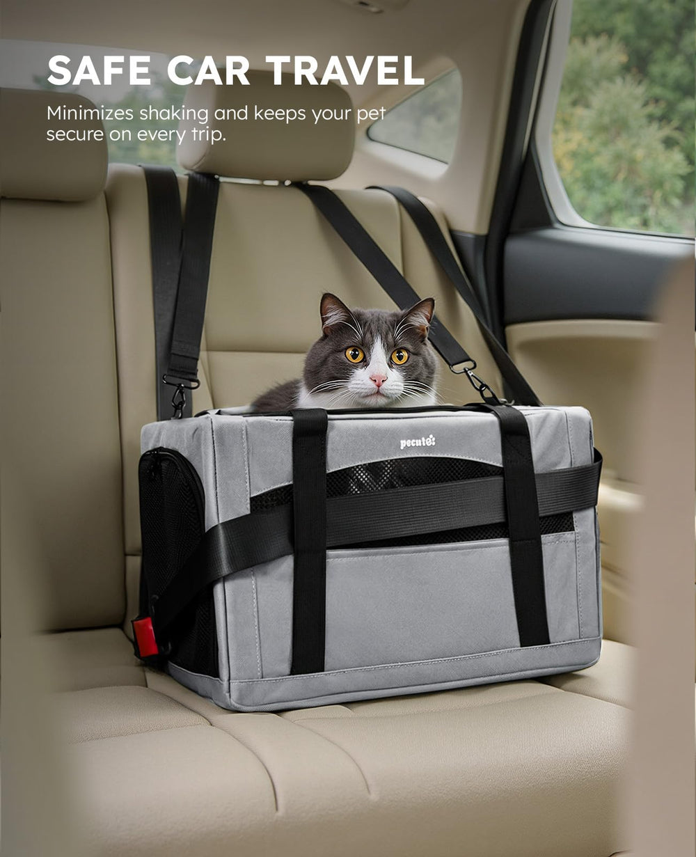Pecute cat-carrier-car-safety-design features seat belts for secure travel