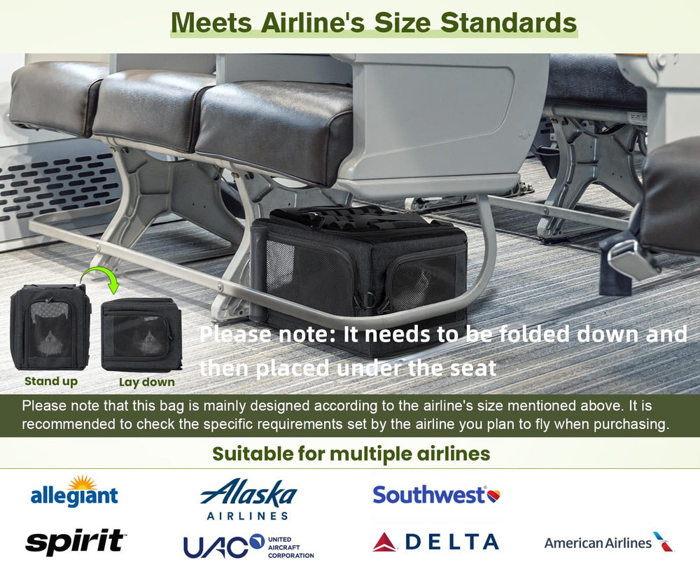 Pecute cat carrier durable steel frame highlights sturdy support and collapse resistance.