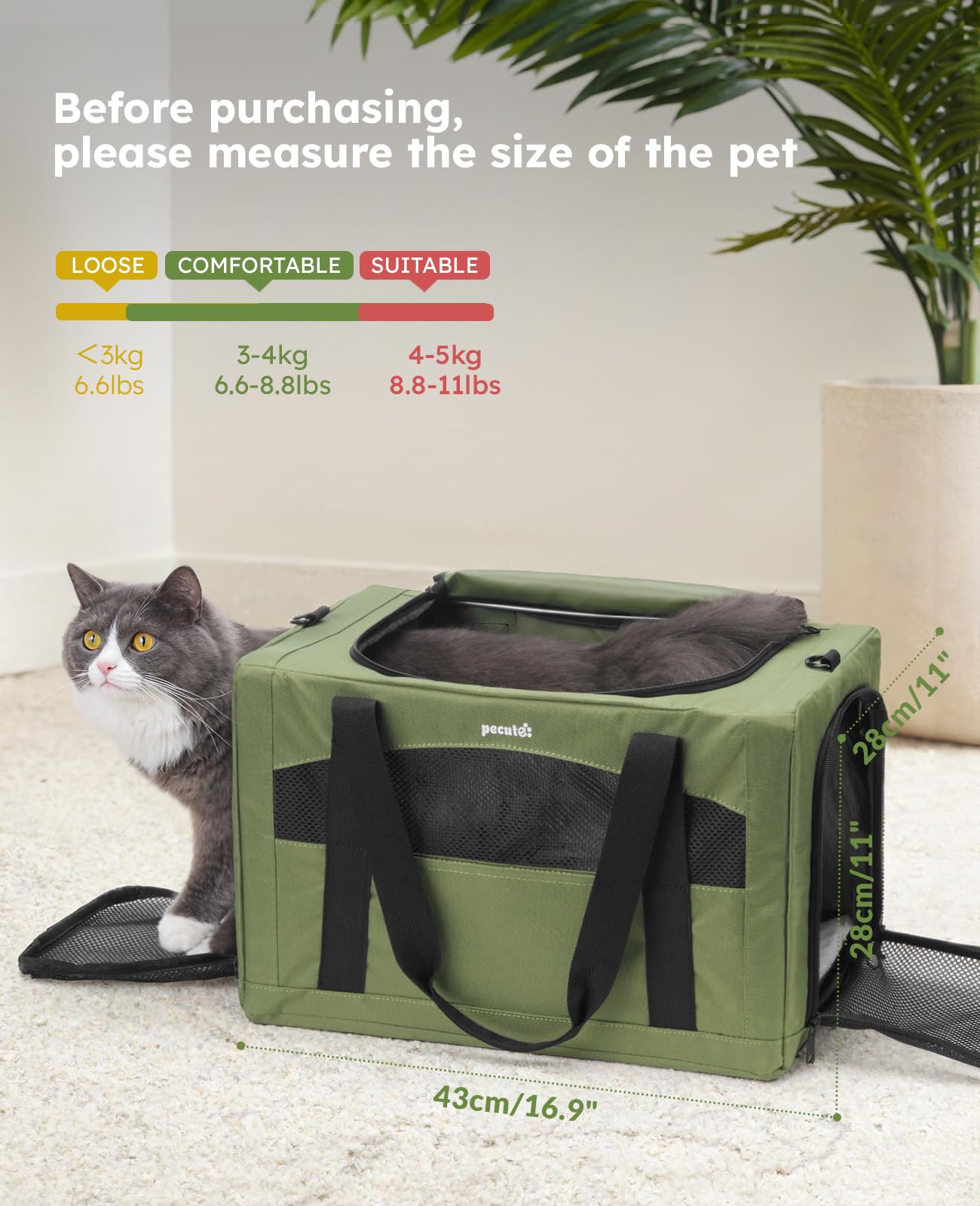 Pecute cat carrier interior safety strap detail for added containment.