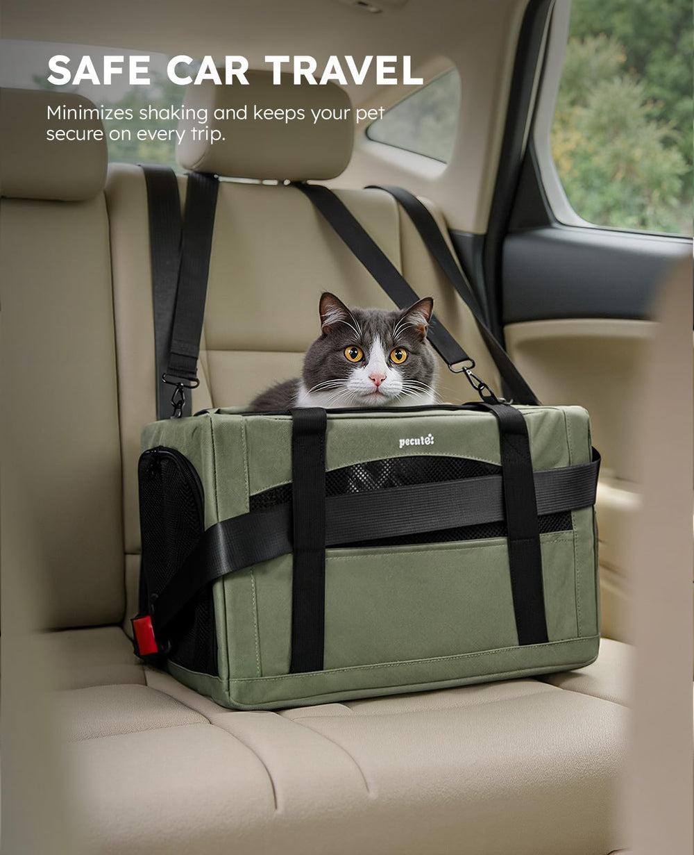 Pecute cat carrier lockable zipper detail demonstrates double escape protection during outings.