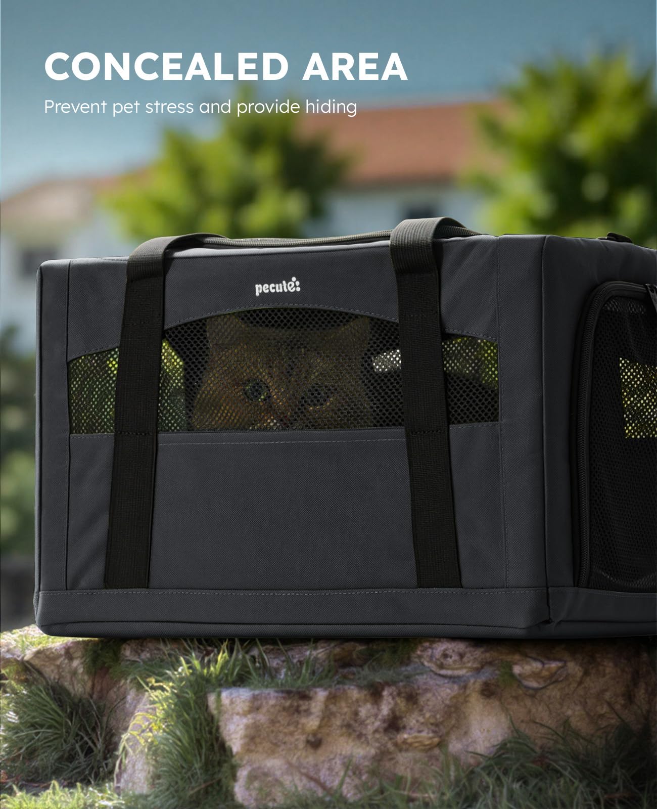 Pecute cat carrier safety strap helps secure your cat during car trips