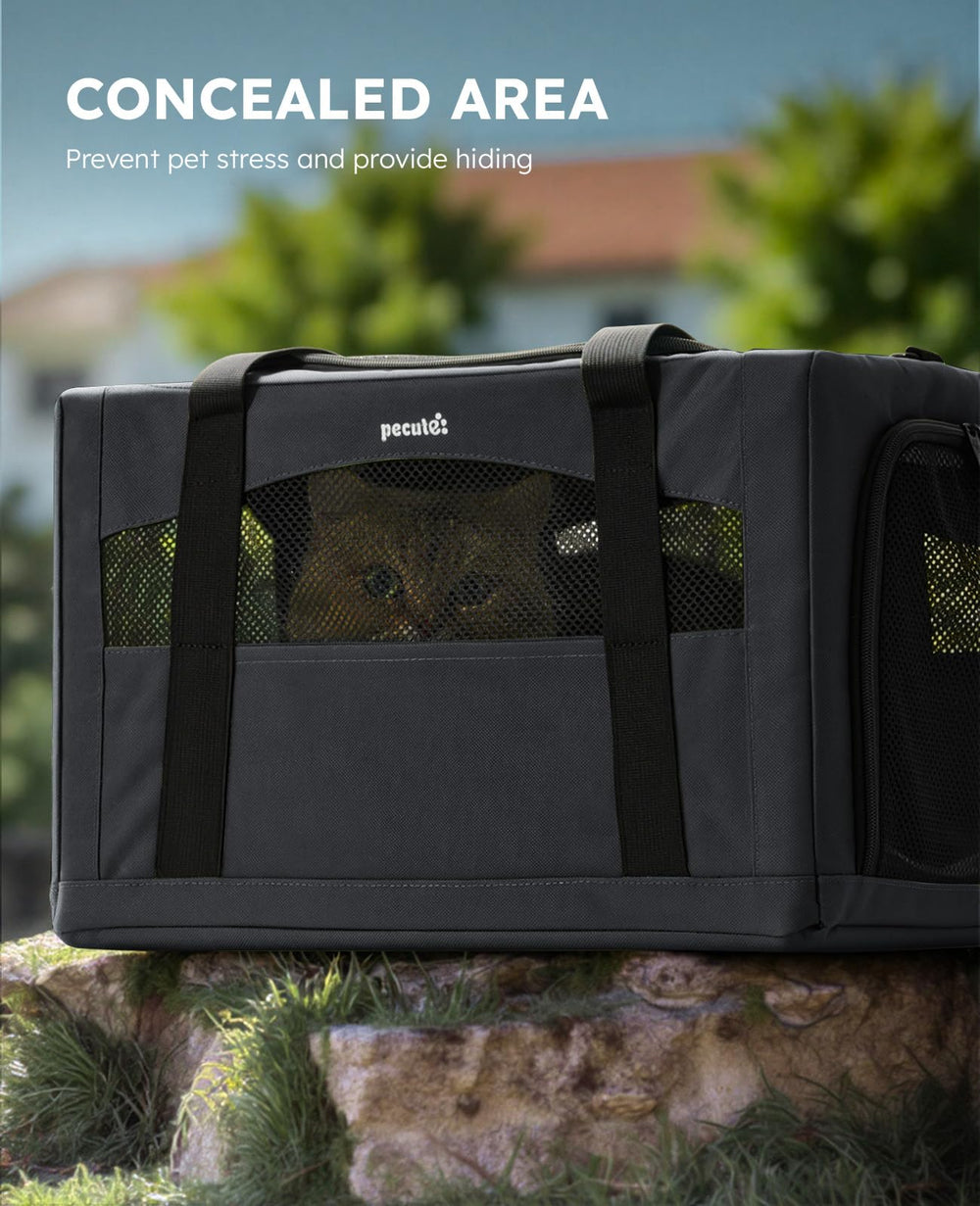 Pecute cat carrier safety strap helps secure your cat during car trips