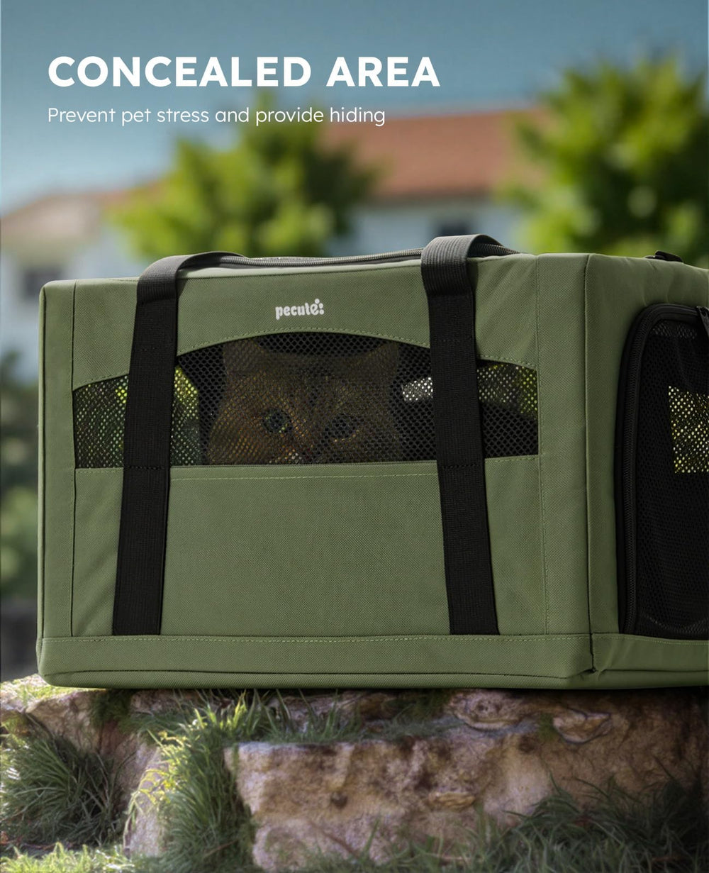 Pecute cat carrier seat belt and shoulder strap setup ensures secure travel.