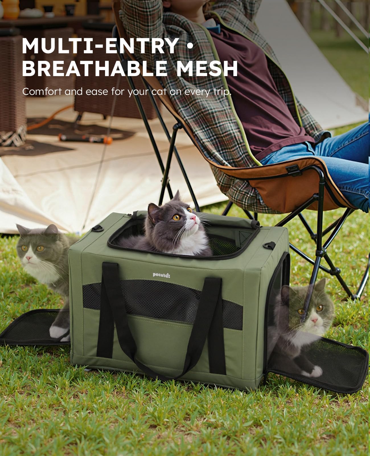 Pecute cat carrier size guide indicates suitable pets under 11 pounds.