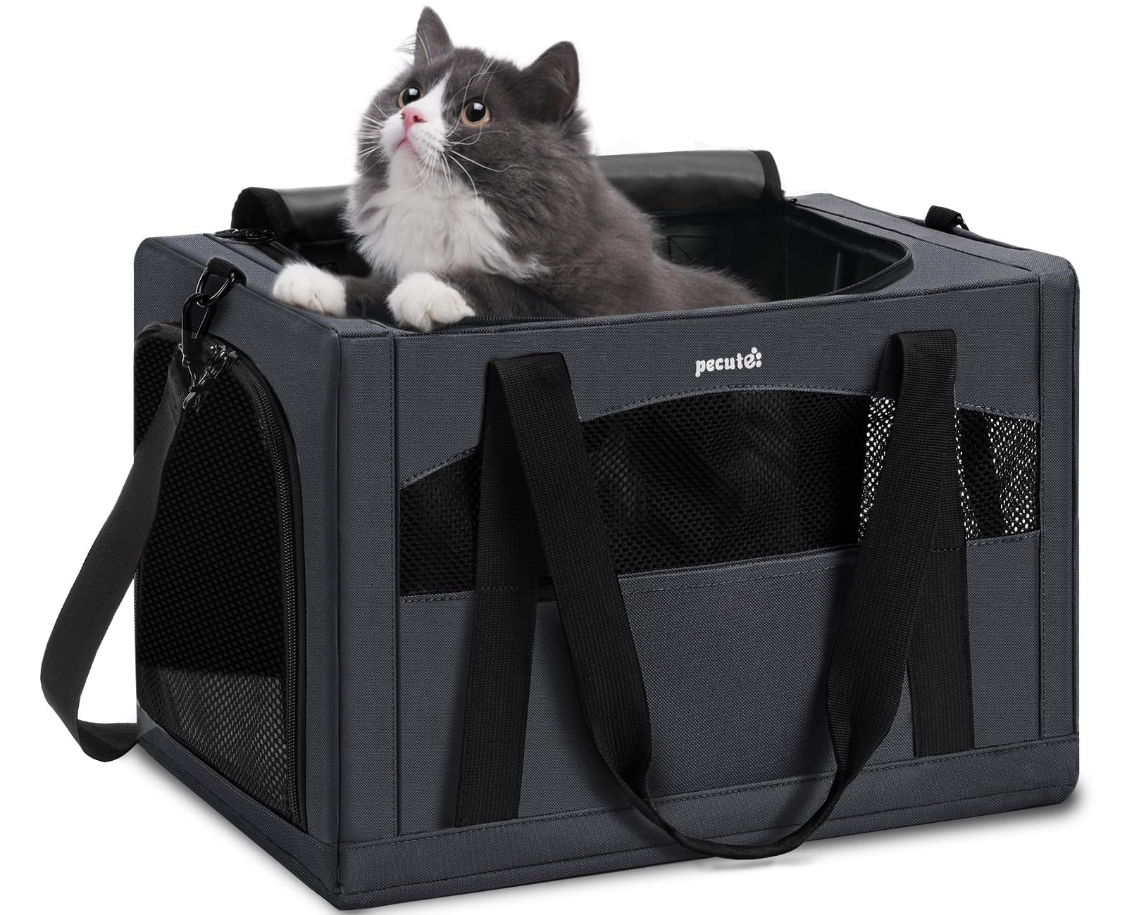 Pecute cat carrier with stable frame for secure travel