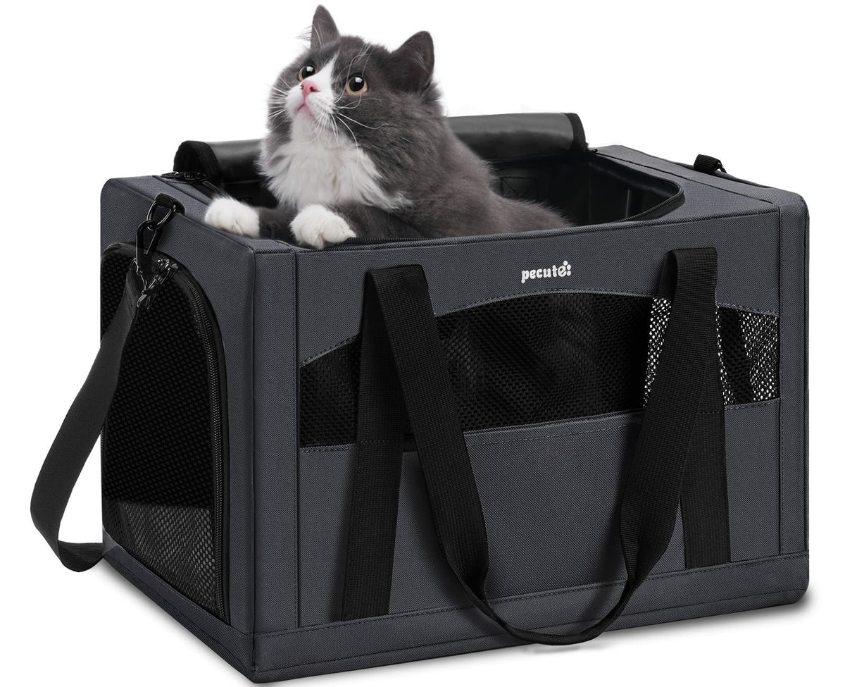Pecute cat carrier with stable frame for secure travel