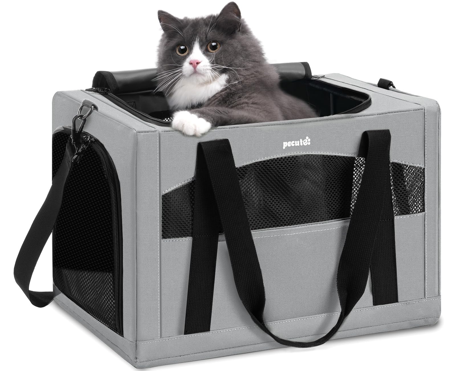 Pecute cat carrier with stable structure ensures secure travel and resists collapse on rough roads