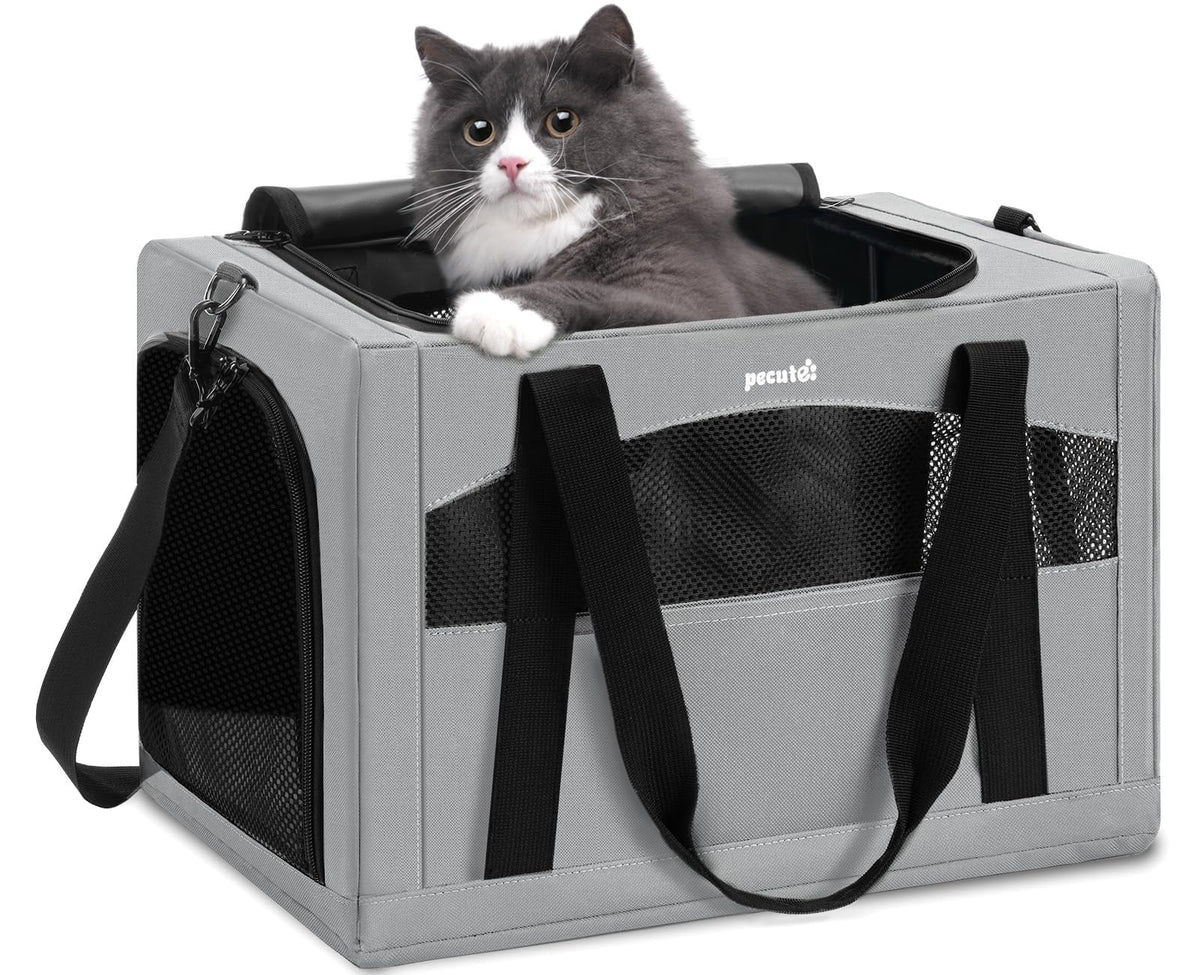 Pecute cat carrier with stable structure ensures secure travel and resists collapse on rough roads