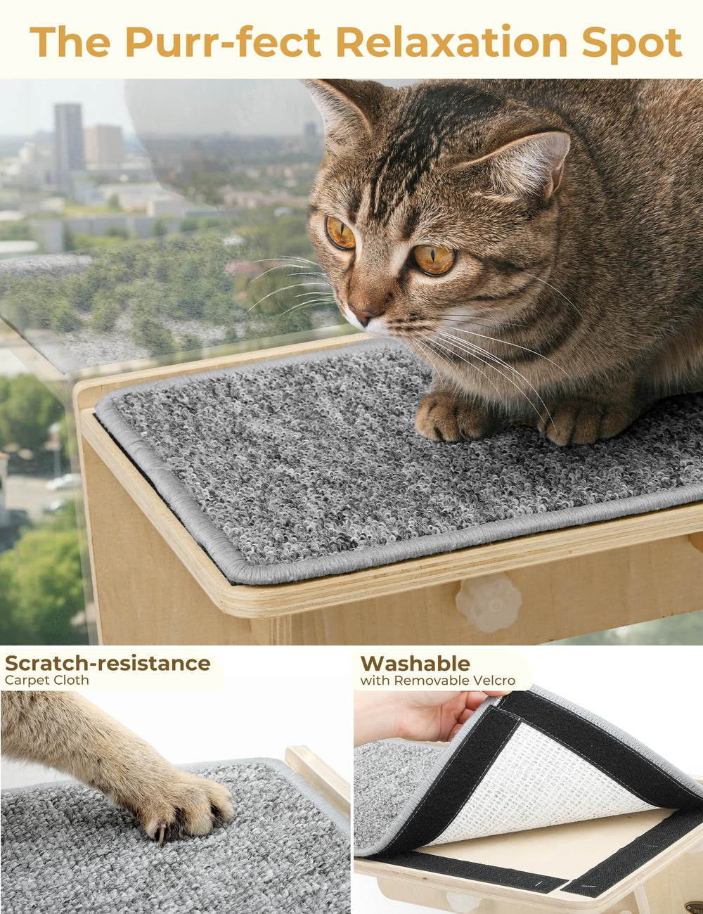 Pecute cat shelves glass-installation option for window-viewing configurations
