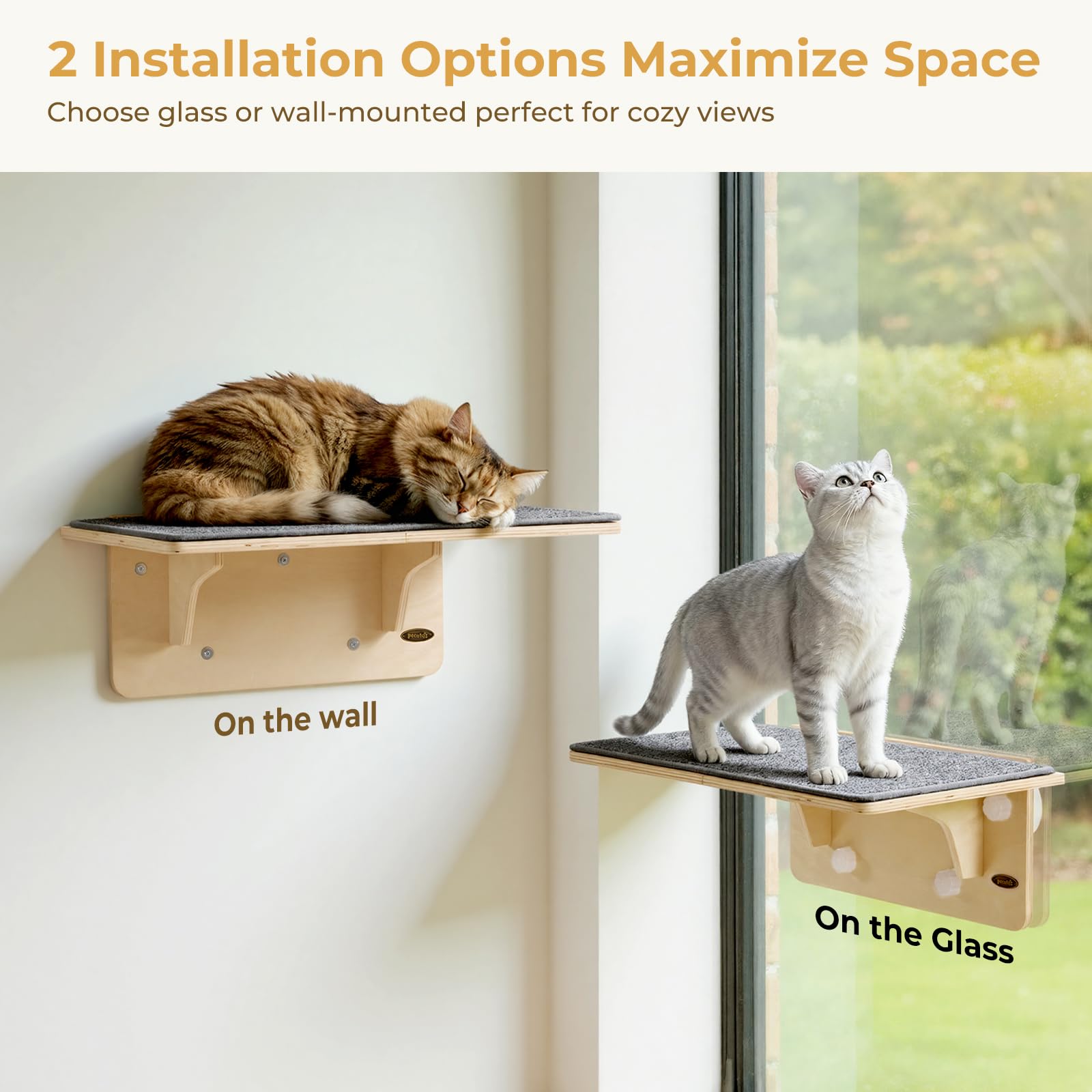 Pecute cat window perch six large suction cups ensure secure setup during active play.