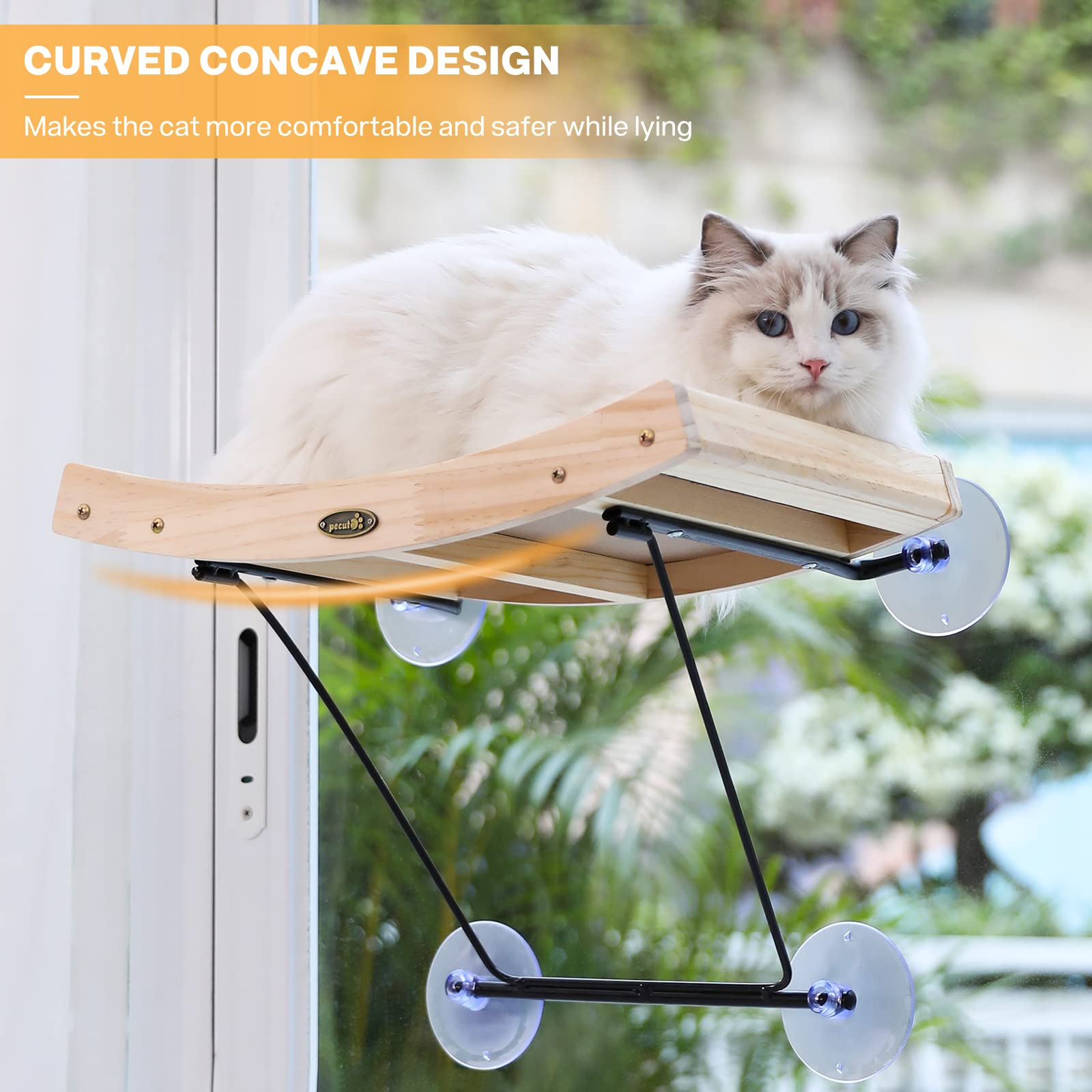 Pecute cat window perch wooden frame supports comfort in sunlight.