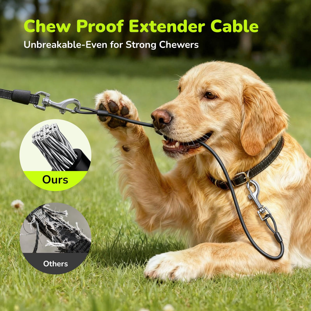 Pecute leash features 304 stainless steel spring coil for long service life.