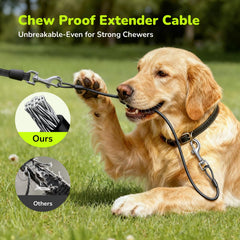 Pecute leash features 304 stainless steel spring coil for long service life.