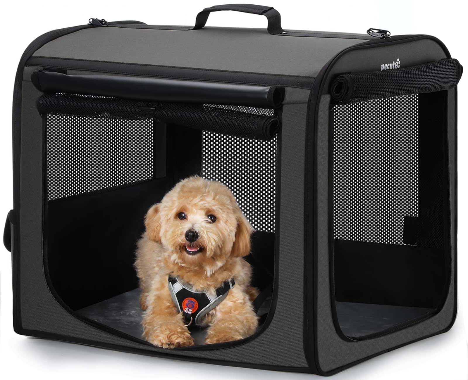 Pecute dog carrier dimensions provide roomy space for dogs under 15kg during travel.