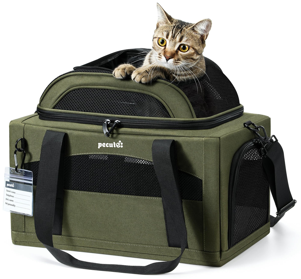 Pecute expandable pet carrier front view highlights airline-approved under-seat travel for small pets.
