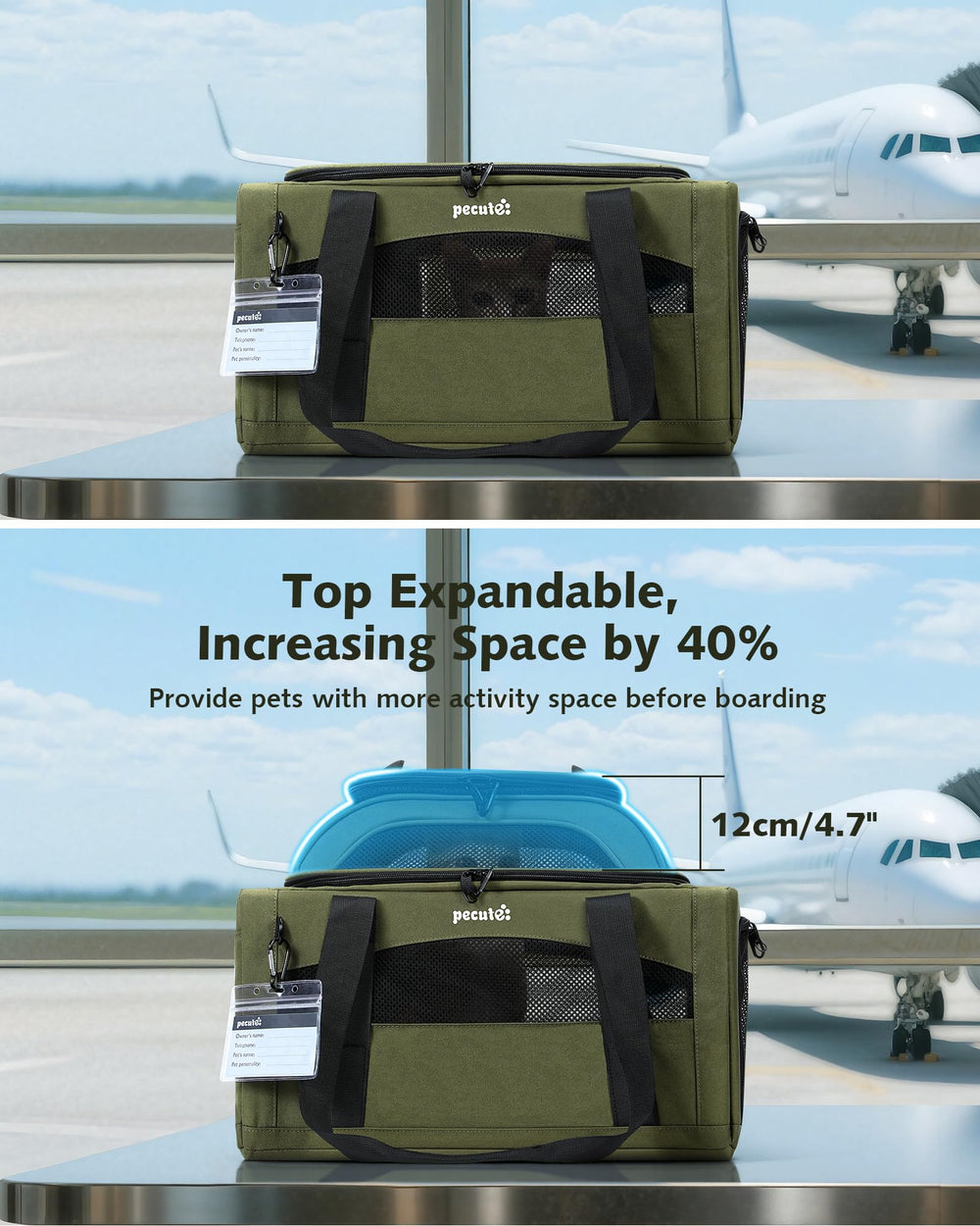 Pecute expandable pet carrier interior with stable frame offers roomy travel space.