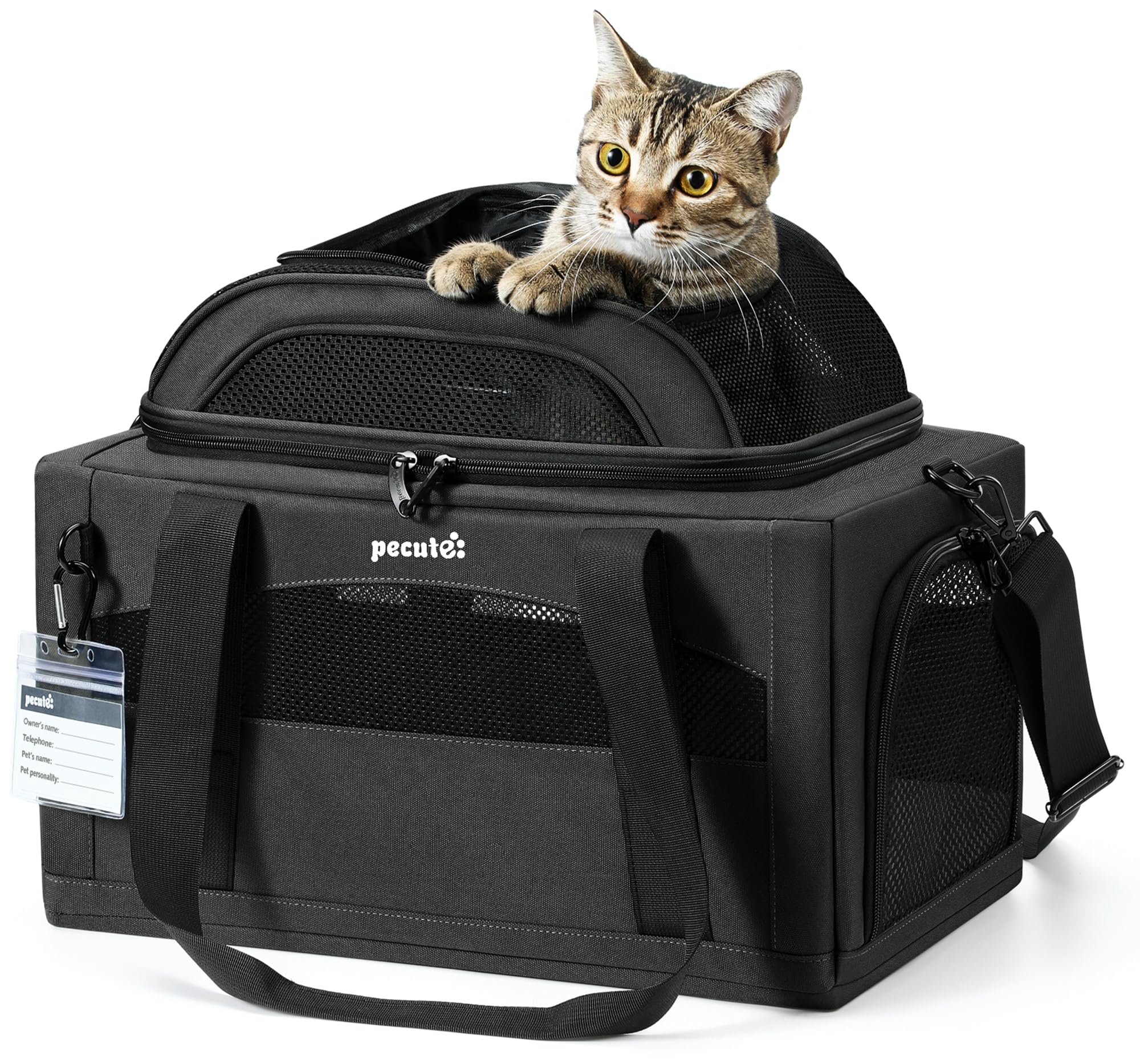 Pecute expandable pet carrier under-seat design for easy in-cabin travel with pets under 11 lbs