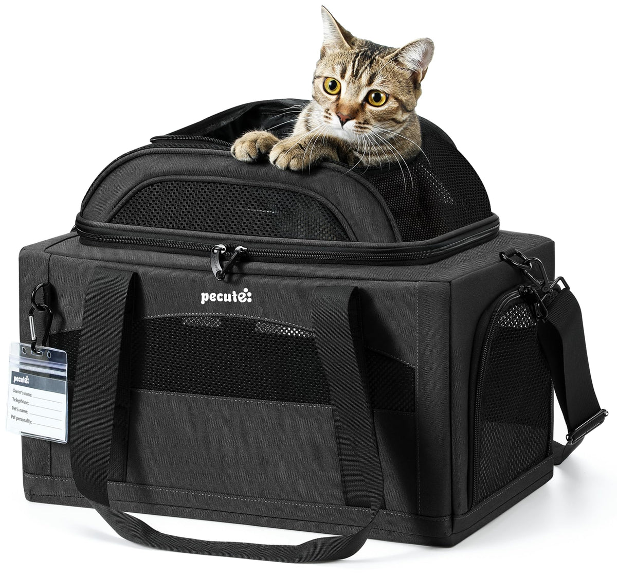 Pecute expandable pet carrier under-seat design for easy in-cabin travel with pets under 11 lbs