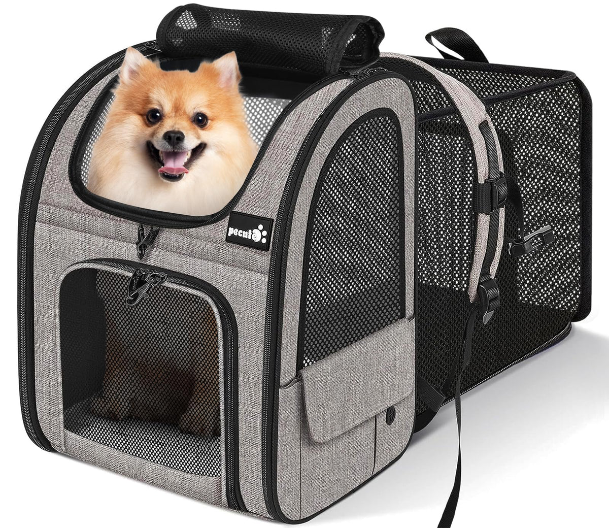 Pecute pet carrier backpack front view shows sturdy build and travel-ready design