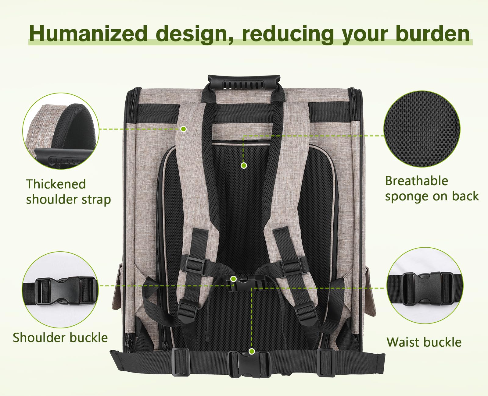 Pecute Pet Carrier Backpack size guide helps choose the right fit for cats and small dogs