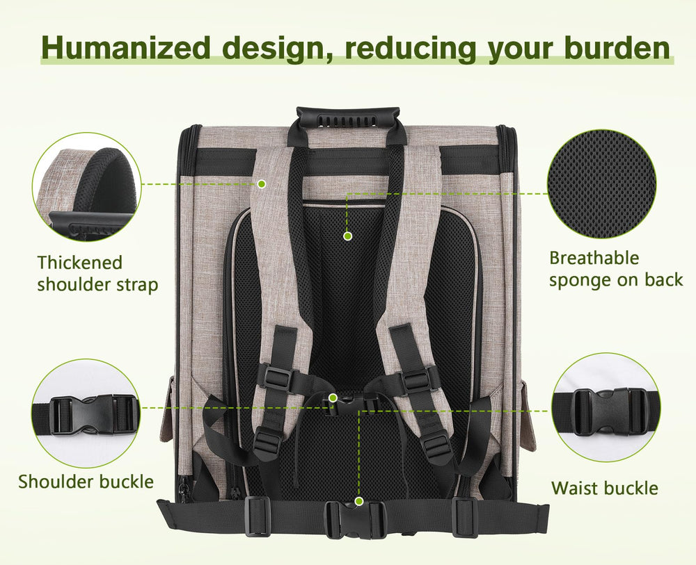 Pecute Pet Carrier Backpack size guide helps choose the right fit for cats and small dogs