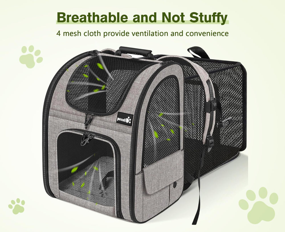 Pecute top-opening view demonstrates head-out interaction for pets
