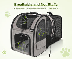 Pecute top-opening view demonstrates head-out interaction for pets