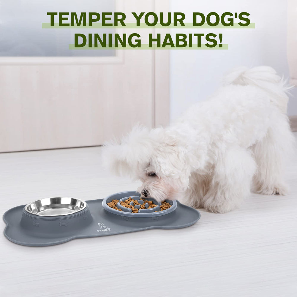 Pecute pet dining set on the floor keeps feeding neat and contained.