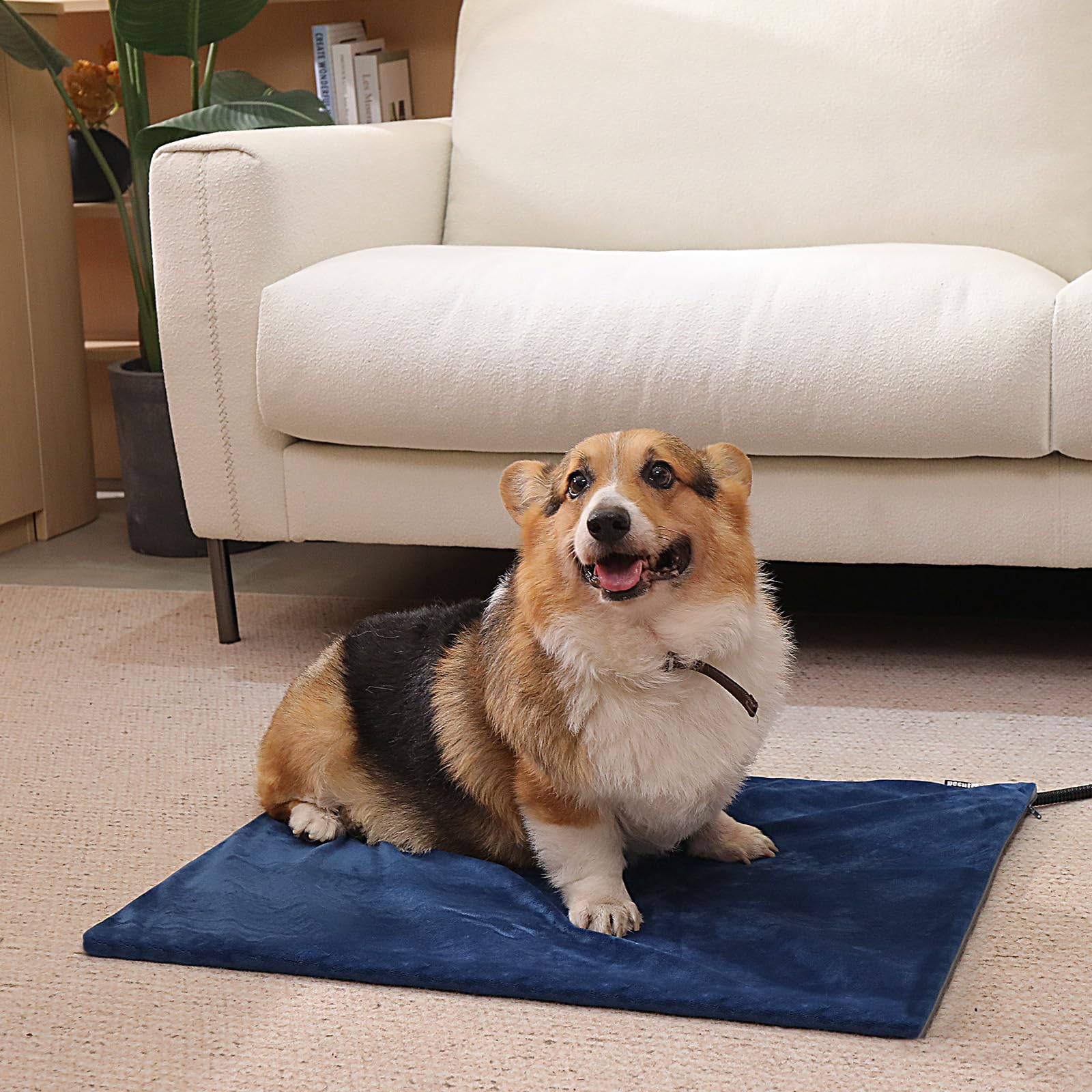 Pecute heating pad with safety-structure emphasizes multi-layer protection for peace of mind