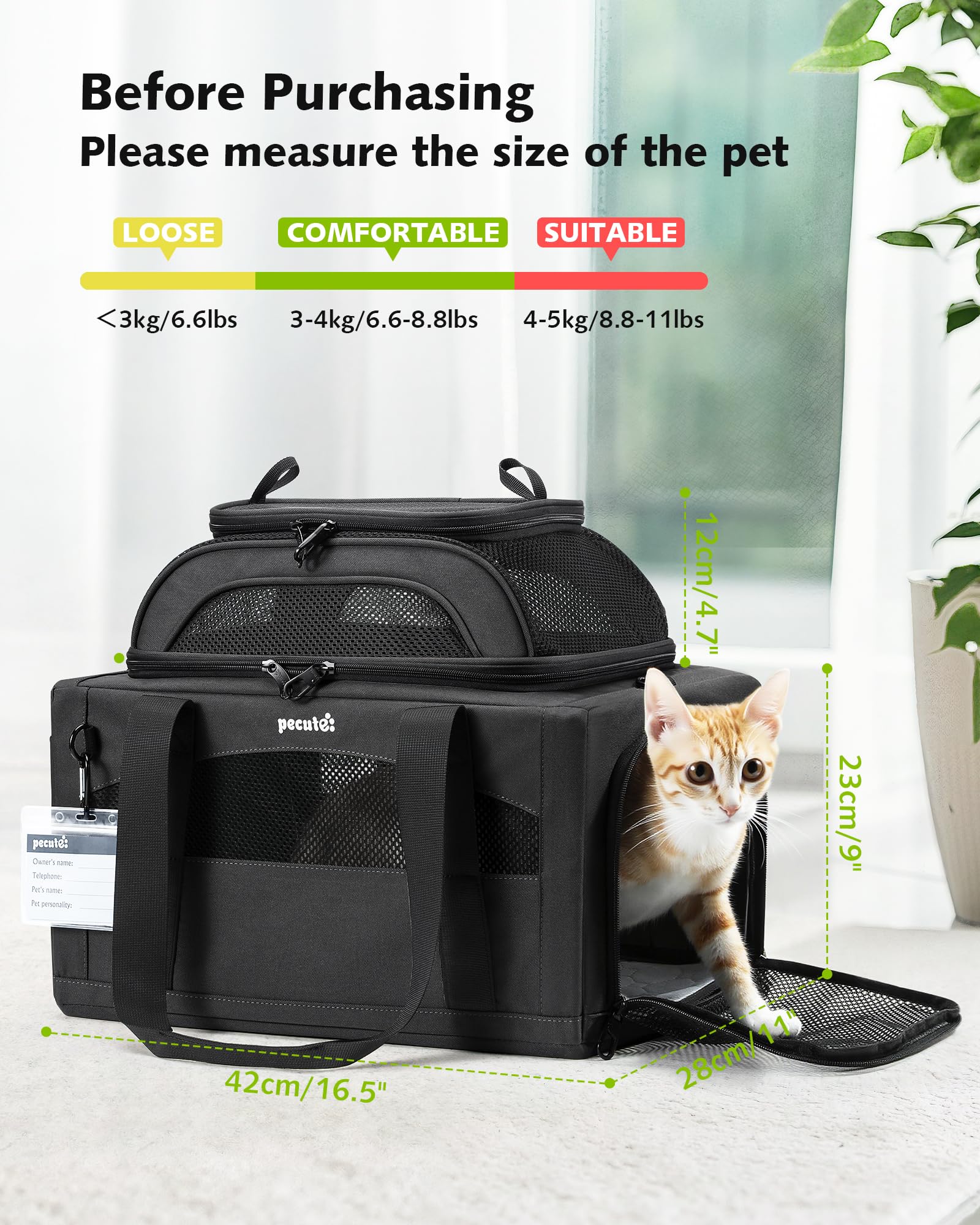 Pecute pet ID tag included helps quick identification and safety checks