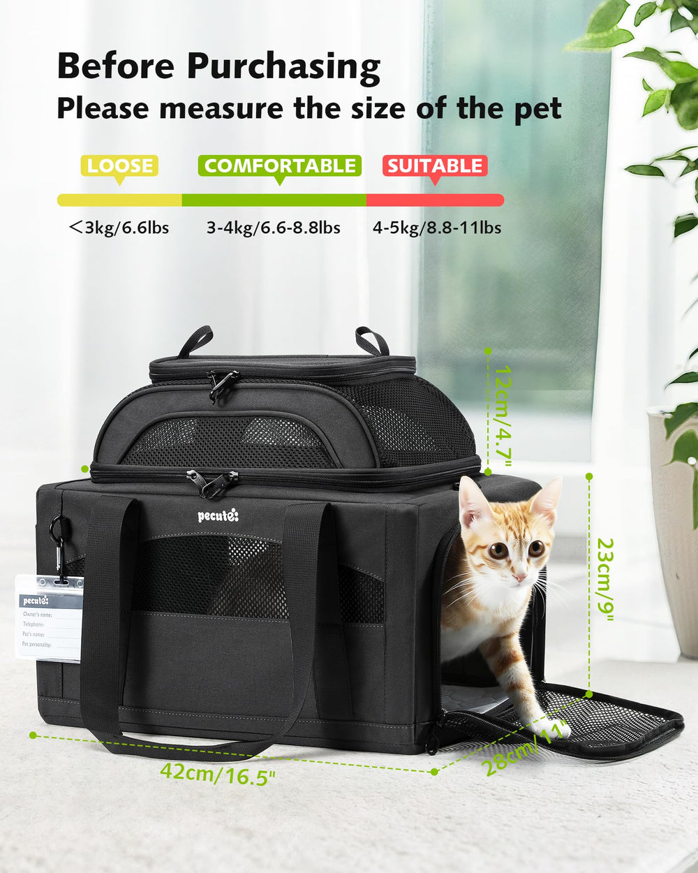 Pecute pet ID tag included helps quick identification and safety checks