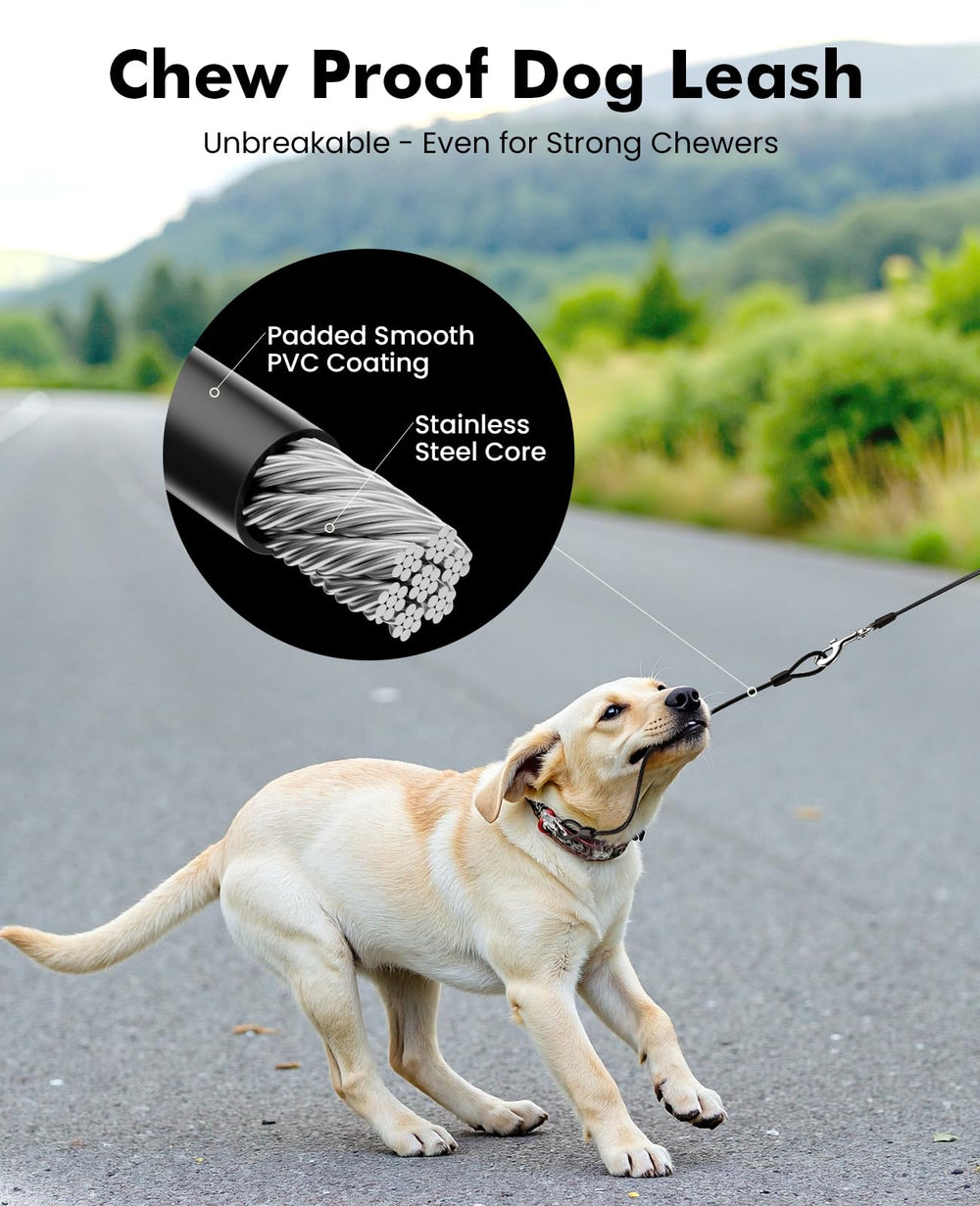 Pecute reflective leash improves visibility for night walks