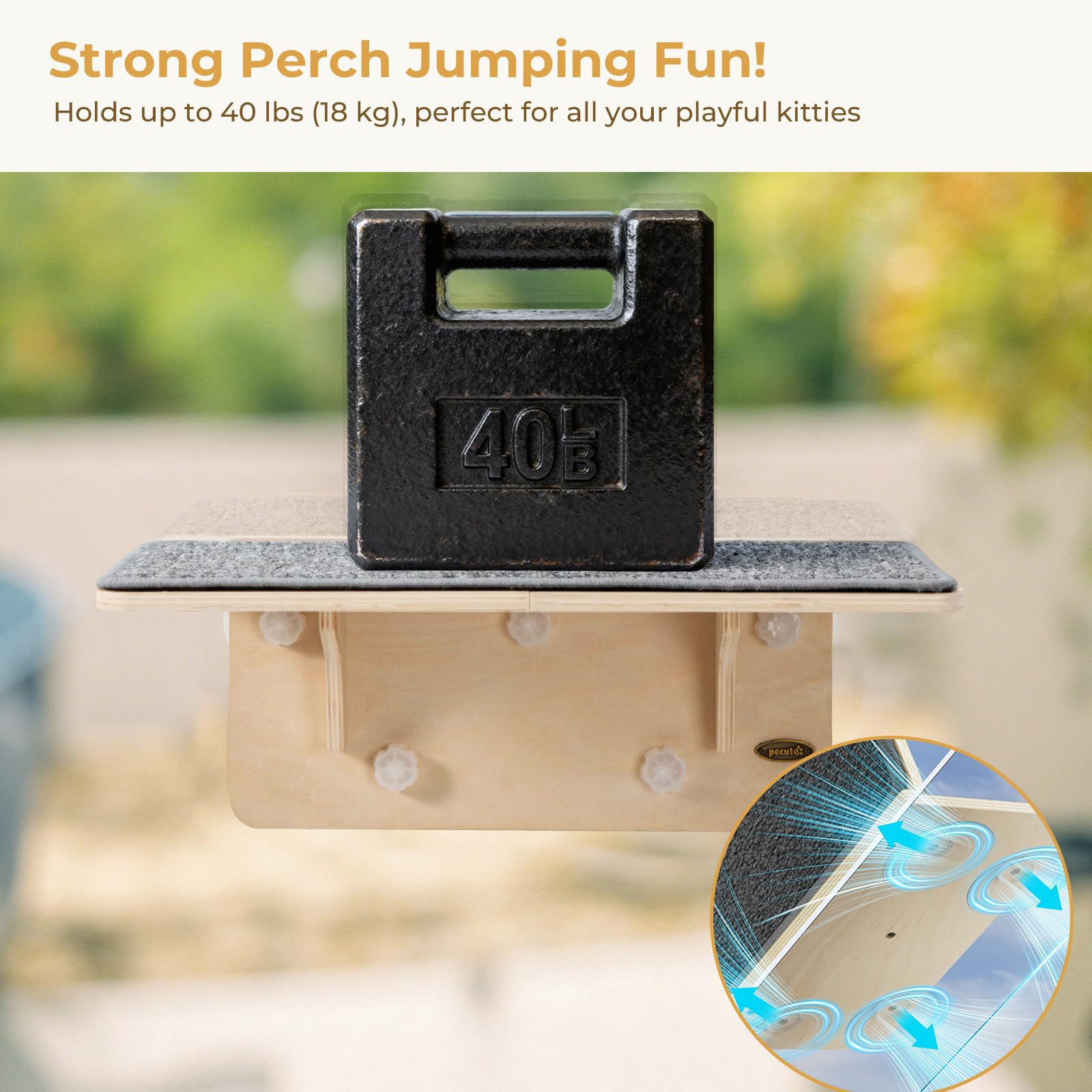 Pecute durable polyester fabric resists dirt and wear for daily cat lounging.