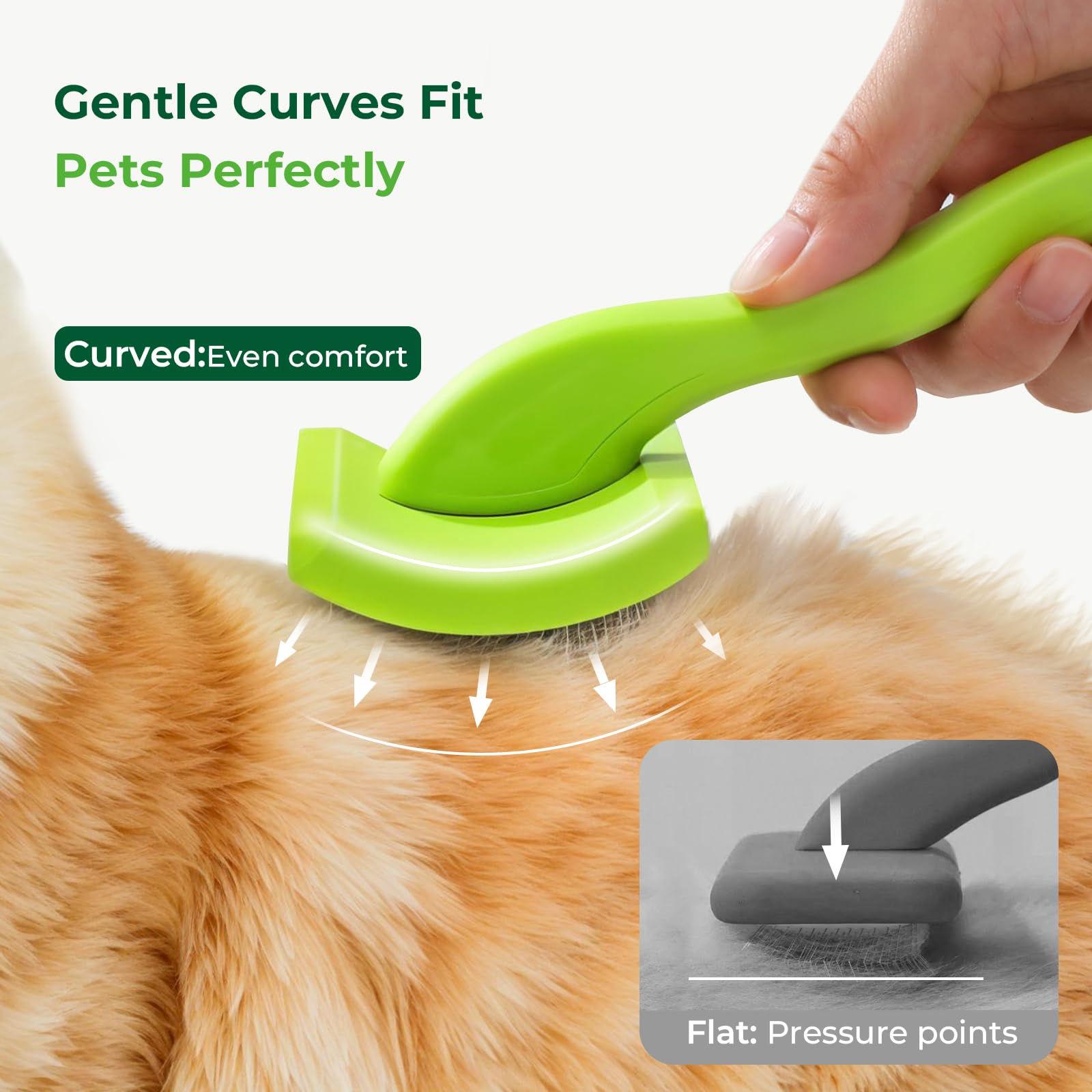 Pecute slicker brush dual-side brushing reveals versatile grooming and styling.