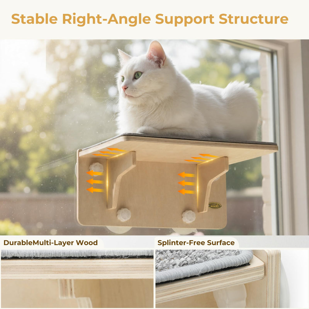 Pecute solid wood cat shelves with secure wall mounting.