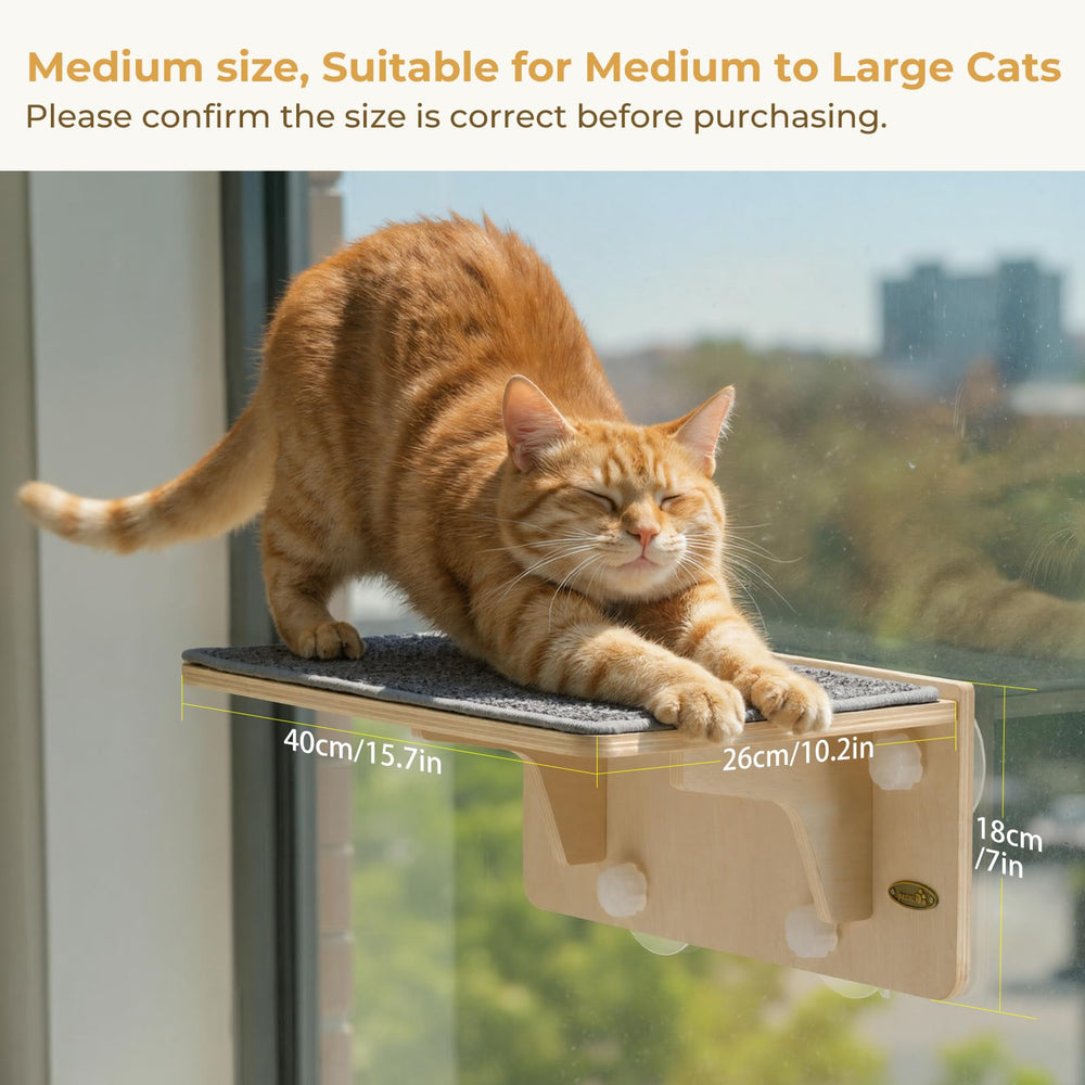 Pecute washable cover mat keeps dirt away and easy cleaning.