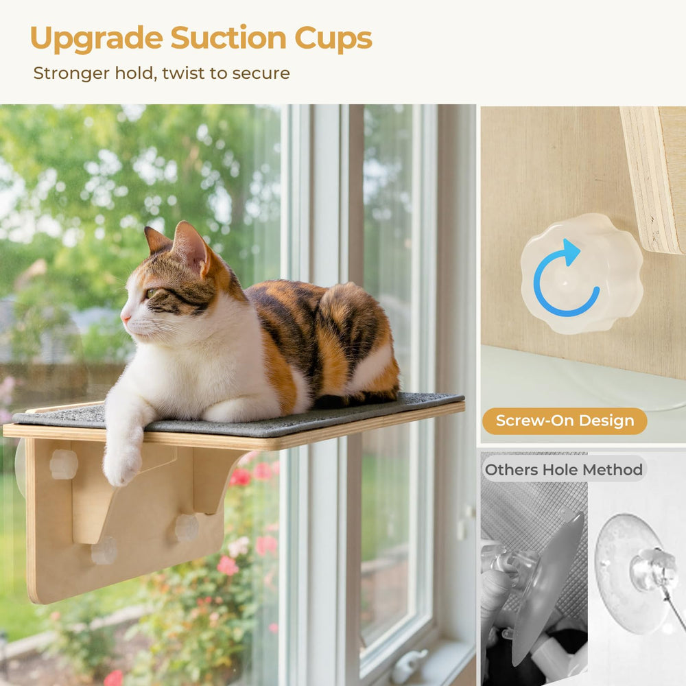 Pecute six large suction cups grip windows securely during jumping.