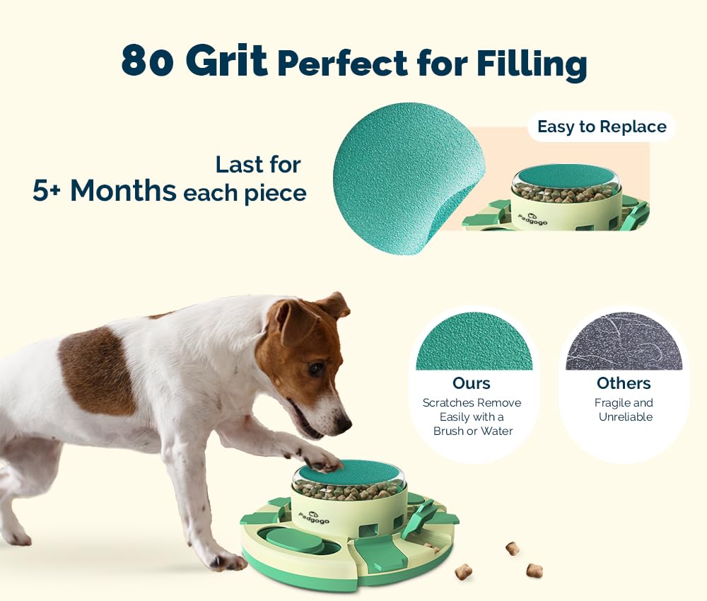 pedgogo file toy level 1 lids image highlights treat-under-lid challenge