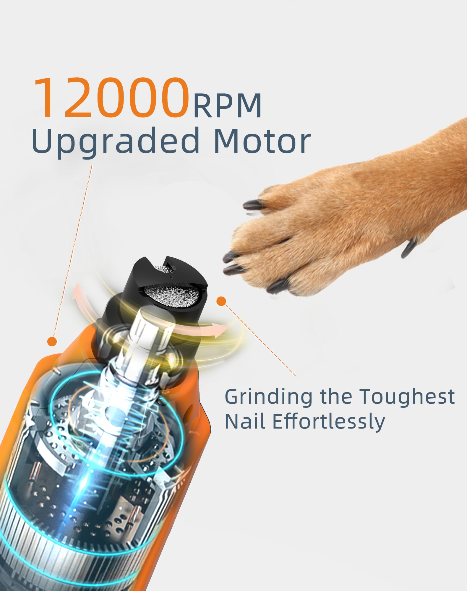 pedgogo dog nail grinder operates quietly for calm grooming sessions.
