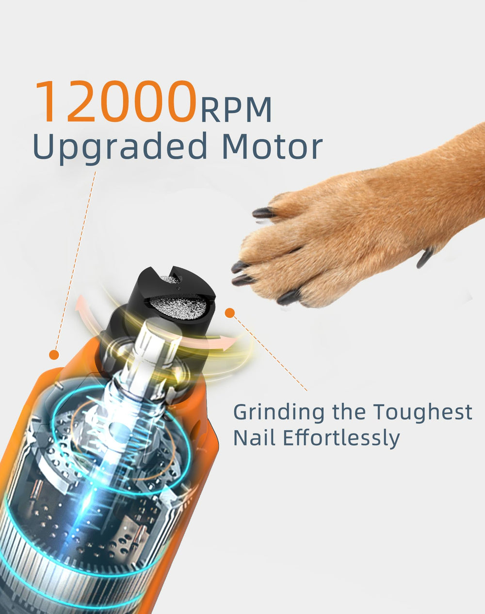 pedgogo dog nail grinder operates quietly for calm grooming sessions.