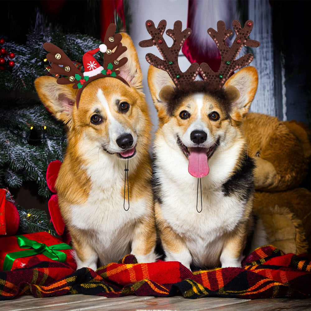 Pedgot Christmas pet accessory pack, three festive headpieces.