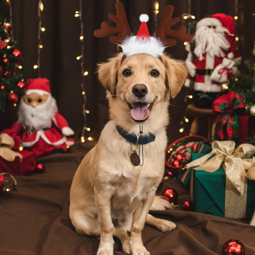 Pedgot dog Christmas costume headwear, versatile seasonal accessory.