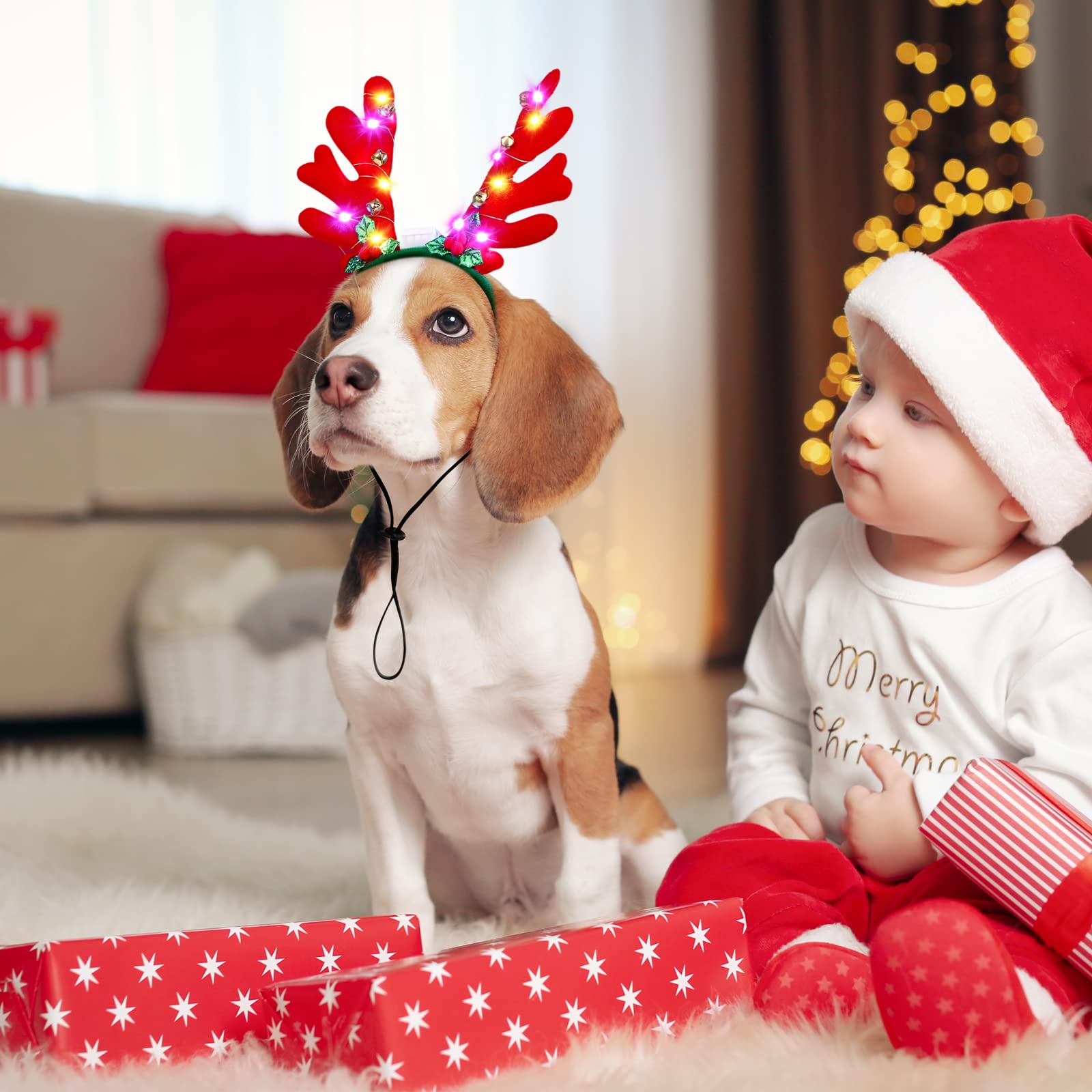 Pedgot LED pet headbands illuminated in night mode for evening celebrations