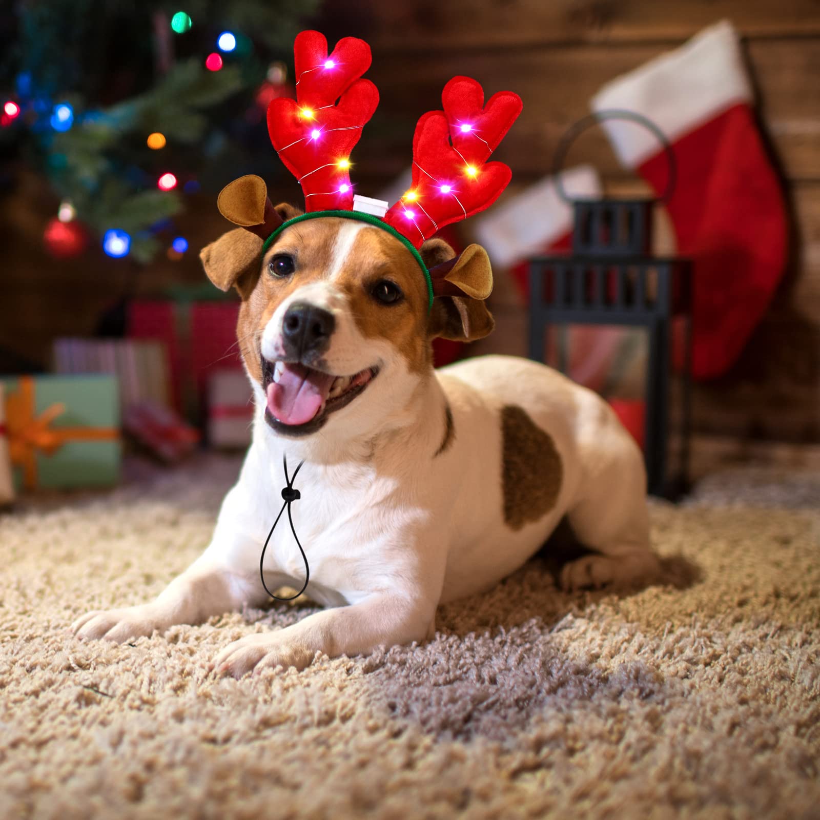 Pedgot LED headbands on a puppy in a snowy scene for party-ready photos