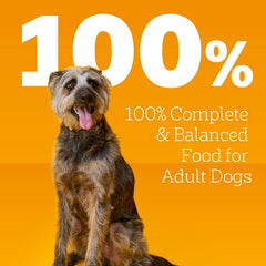 Pedigree Chopped Ground Dinner beef bacon cheese flavor showcases flavor variety and protein.
